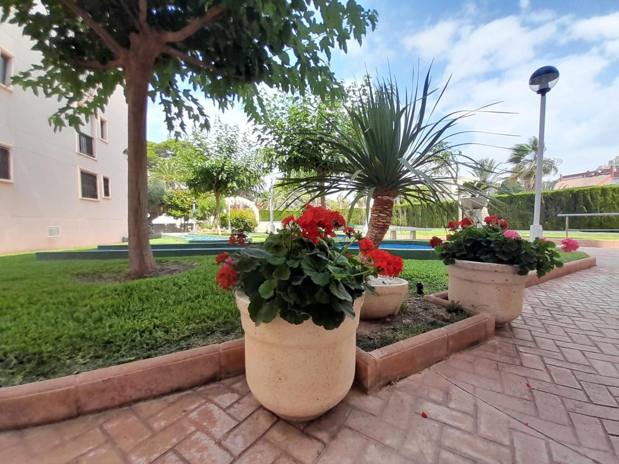 Costa Blanca Holiday Rental Altamar II El Campello Exterior foto
